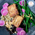 Susan Spungen's Crispy Tasty Tofu with Tahini Sauce